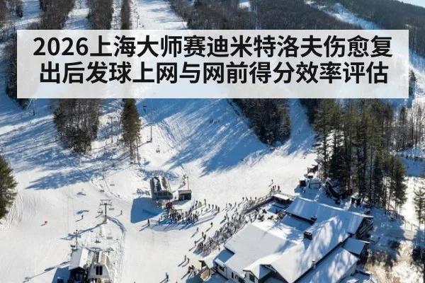 2026上海大师赛迪米特洛夫伤愈复出后发球上网与网前得分效率评估